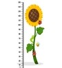 Sunflower in Multicolour Height Chart