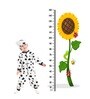 Sunflower in Multicolour Height Chart