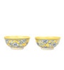 Sunshine Flora Ceramic Bowl Set of 2(470ml Each)