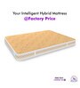 Super Contour ISP Tech. High Tensile Bonnell Spring 10 Inches King Size Mattress in Beige Colour