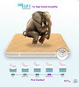 Super Contour ISP Tech. High Tensile Bonnell Spring 10 Inches Single Size Mattress in Beige Colour