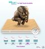 Super Contour ISP Tech. High Tensile Bonnell Spring 5 Inches Queen Size Mattress in Beige Colour