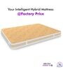 Super Contour ISP Tech. High Tensile Bonnell Spring 6 Inches Single Size Mattress in Beige Colour