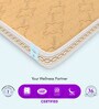Super Contour ISP Tech. High Tensile Bonnell Spring 8 Inches Single Size Mattress in Beige Colour