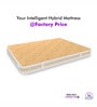 Super Contour ISP Tech High Tensile 6 Inch Bonnell Spring & HR Foam Single Size Mattress