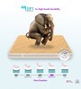 Super Contour ISP Tech High Tensile 8 Inch Bonnell Spring & HR Foam Queen Size Mattress