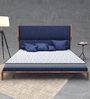 Super Deluxe Queen Bed Dual Side Usable In a Box HR Foam Mattress 75x48x4 Inches