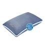 Super Fibre  17 x 27 Inch Microfibre Sleeping Pillow (Pack of 2)