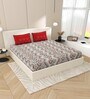 Grey And Red Floral 144 TC Cotton King Size  Bedsheet With 2 Pillow Cover