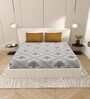 Blue Floral 144 TC Cotton King Size  Bedsheet With 2 Pillow Cover