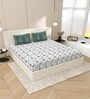 Green Block Print  144 TC Cotton King Size  Bedsheet With 2 Pillow Cover