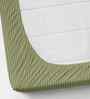 Green 250 Tc Cotton Fitted Bedsheet With 2 Pillow Covers