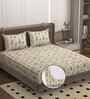 Cream 250 Tc Cotton Fitted Bedsheet With 2 Pillow Covers