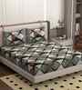 Grey 250 Tc Cotton Fitted Bedsheet With 2 Pillow Covers