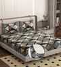 Grey 250 Tc Cotton Fitted Bedsheet With 2 Pillow Covers