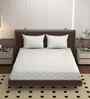 Grey 250 Tc Cotton Fitted Bedsheet With 2 Pillow Covers