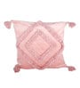 Super Soft Velvet 18 x 18 Inch Cushion Covers (Set of 2)