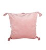 Super Soft Velvet 18 x 18 Inch Cushion Covers (Set of 2)