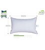 Superia White Fiber 17x27 Inch Pillow Insert