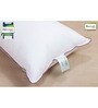Superia White Fiber 17x27 Inch Pillow Insert