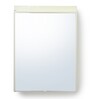 Superior Plastic Ivory Bathroom Cabinet With Mirror