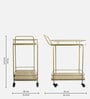 SuperNova Metal Bar Trolley In Gold Finish With Wood