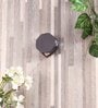 SUPERSCAPE Outdoor Lighting  Exterior Wall Light LED WL2739