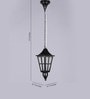 Roston Black Metal Outdoor Hanging Light