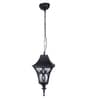 SUPERSCAPE Outdoor Lighting Outdoor Pendent HL6085-M