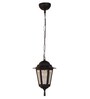 SUPERSCAPE Outdoor Lighting Outdoor Pendent HL6086-S