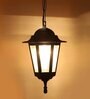 SUPERSCAPE Outdoor Lighting Outdoor Pendent HL6086-S
