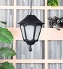 SUPERSCAPE Outdoor Lighting Outdoor Pendent HL6087-M