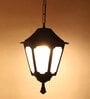 SUPERSCAPE Outdoor Lighting Outdoor Pendent HL6087-M
