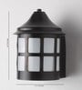 Exterior Black Metal Outdoor Wall Light