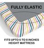White Shark Print 210 TC Microfiber Fitted Double Size Bedsheet With 2 Pillow Covers