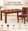 Sutra 6 Seater Dining Set In Provincial Teak Finish With Plum Colour Chair Sutra 6 Seater Dining Set In Provincial Teak Finish With Plum Colour Chair