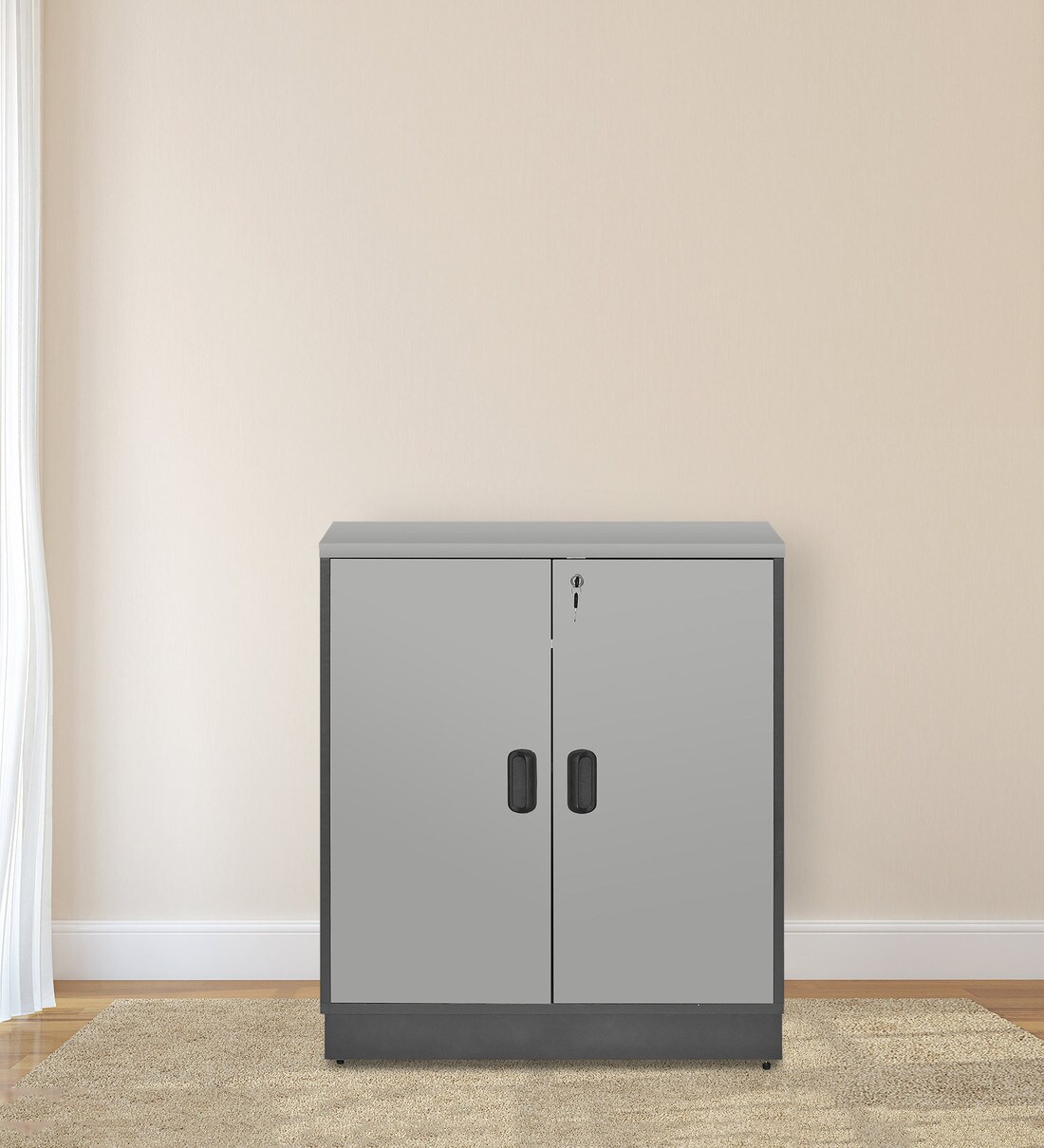 Buy Swing Door in Grey Colour by Fonzel Online File File