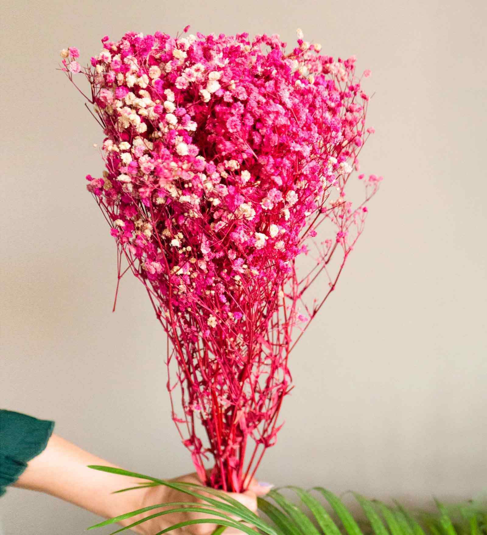 Sweet Sprout Baby Breaths Pink Dried Flowers Set of 5 Stems