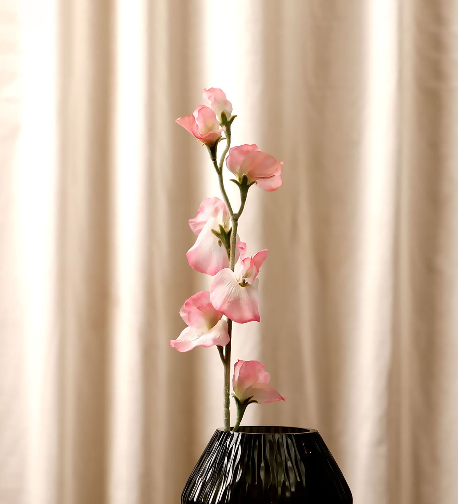 Sweetpea Pink Flowers