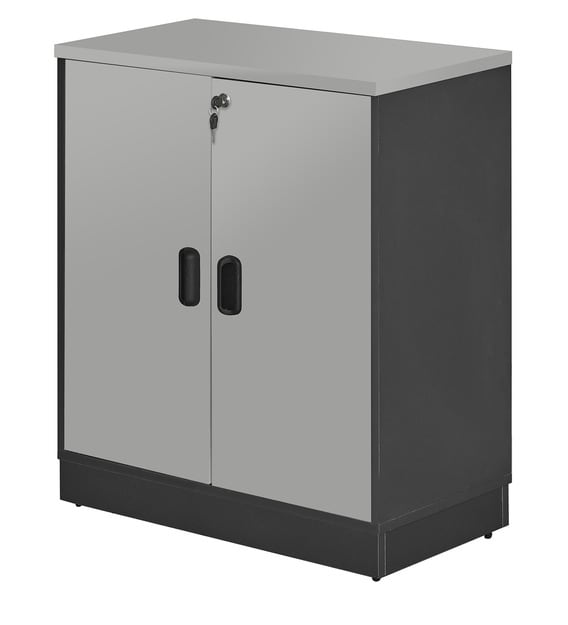 Buy Swing Door Cabinet in Grey Colour by Fonzel Online - File Cabinets ...