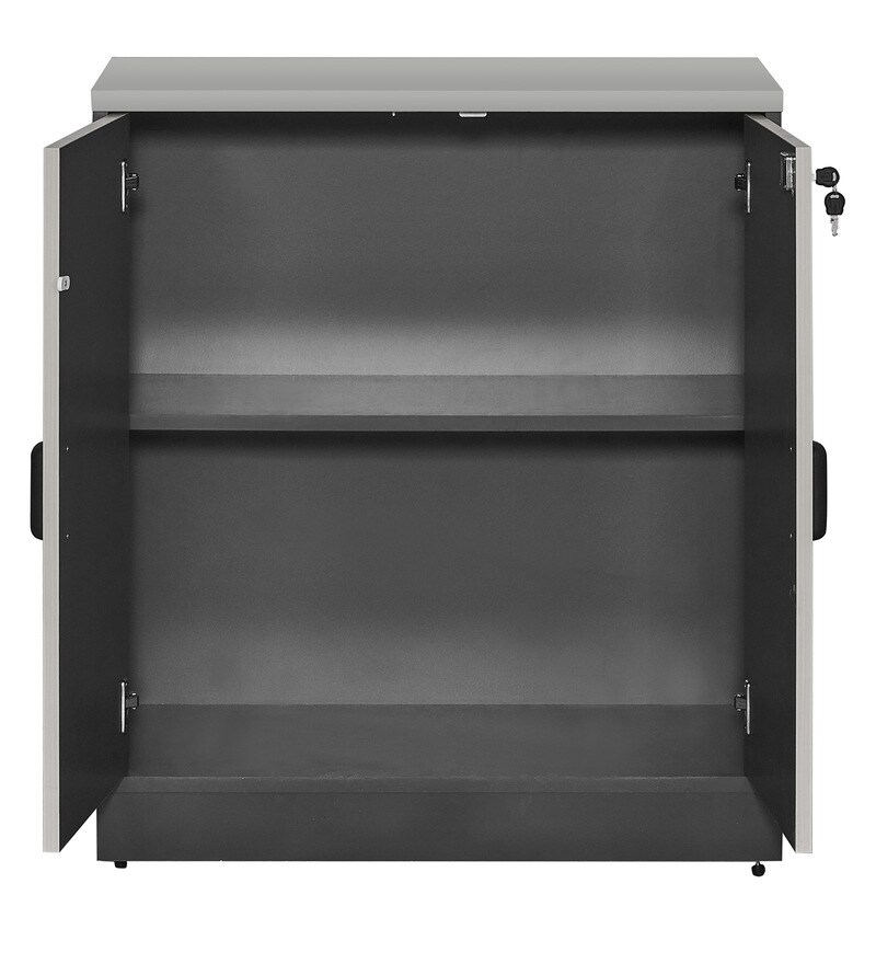 Buy Swing Door in Grey Colour by Fonzel Online File