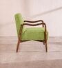 Sway Arm Chair In Green Colour