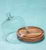 Brown Acacia Wood Sweet Haven Glass Cake Stand with Glass Dome