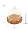 Brown Acacia Wood Sweet Haven Glass Cake Stand with Glass Dome