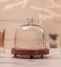 Brown Acacia Wood Sweet Haven Glass Cake Stand with Glass Dome