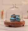 Brown Acacia Wood Sweet Haven Glass Cake Stand with Glass Dome