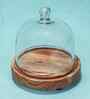 Brown Acacia Wood Sweet Haven Glass Cake Stand with Glass Dome