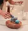 Brown Acacia Wood Sweet Haven Glass Cake Stand with Glass Dome