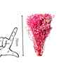 Sweet Sprout Baby Breaths Pink Dried Flowers Set of 5 Stems