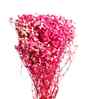 Sweet Sprout Baby Breaths Pink Dried Flowers Set of 5 Stems